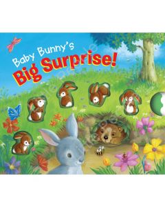 Book-Soft to Touch Tales Baby Bunny's Big Surprise!