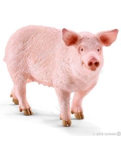 Schleich- Pig Standing Farm Life Animal